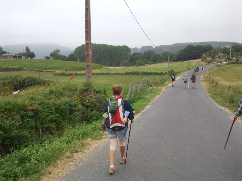 Camino de Santiago 